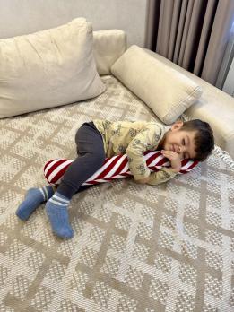 Декоративна подушка Тростина