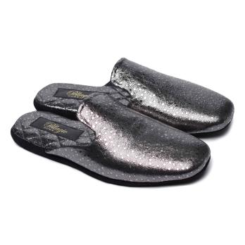 Капці Жіночі Pellagio холодний срібло